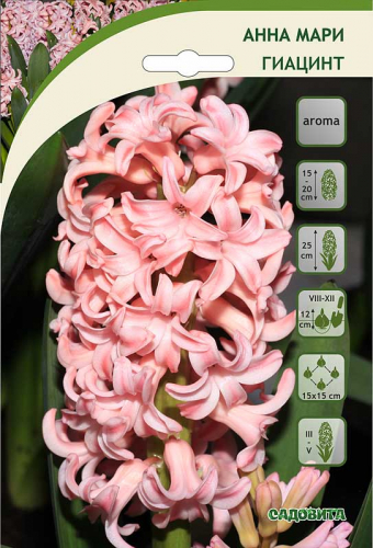 ���� �������. ���������� �������� ����� 2019.