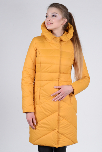 ���� �������. Twin Tip ������� ������� ������ �� ������������� ����������.