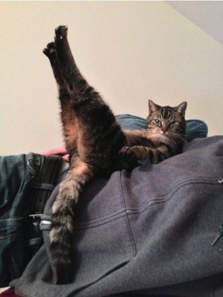 ����-����