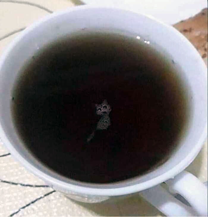 ������ ������� ������� ��������� �����: ������ ������� ���, ��� �� ���