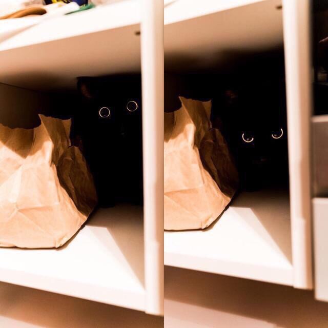 � ���� ������ ��� ���������: