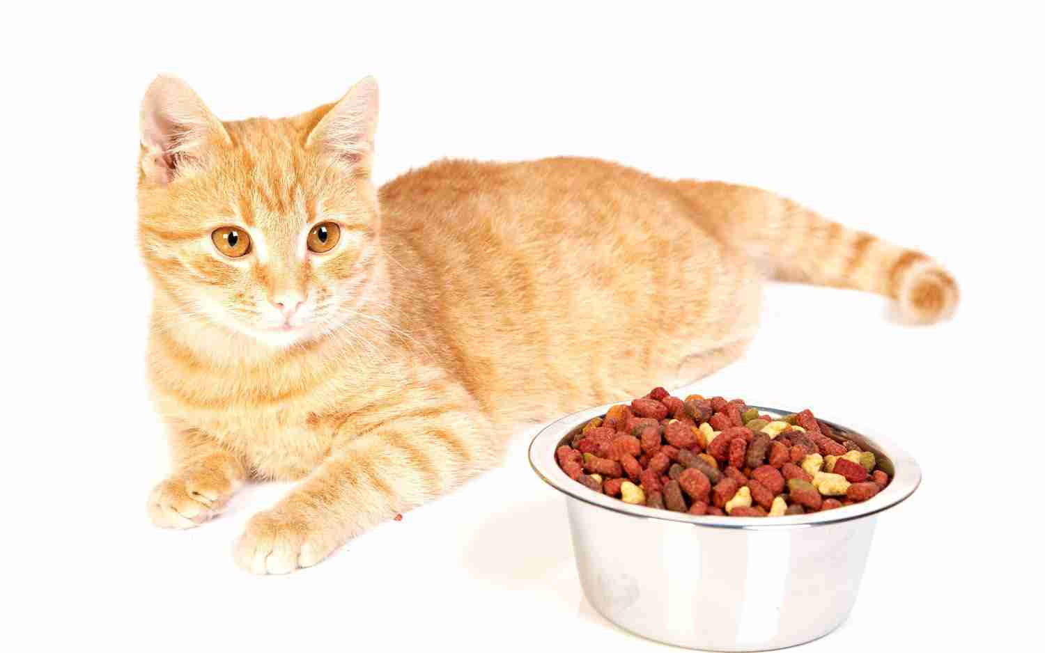 ���� ��� �����. �������� �����������. ������� 24.06.