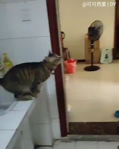 � ����� ��ϣ ��������� ��������