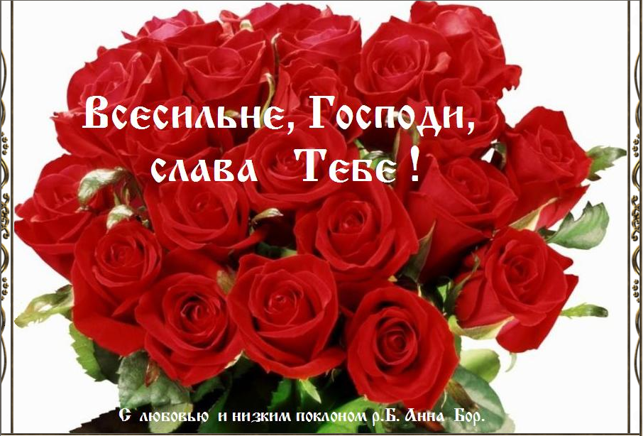 �������,   �����     ���  .  �������     ���������    �   ��������� !