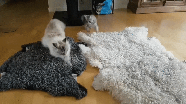 ������������