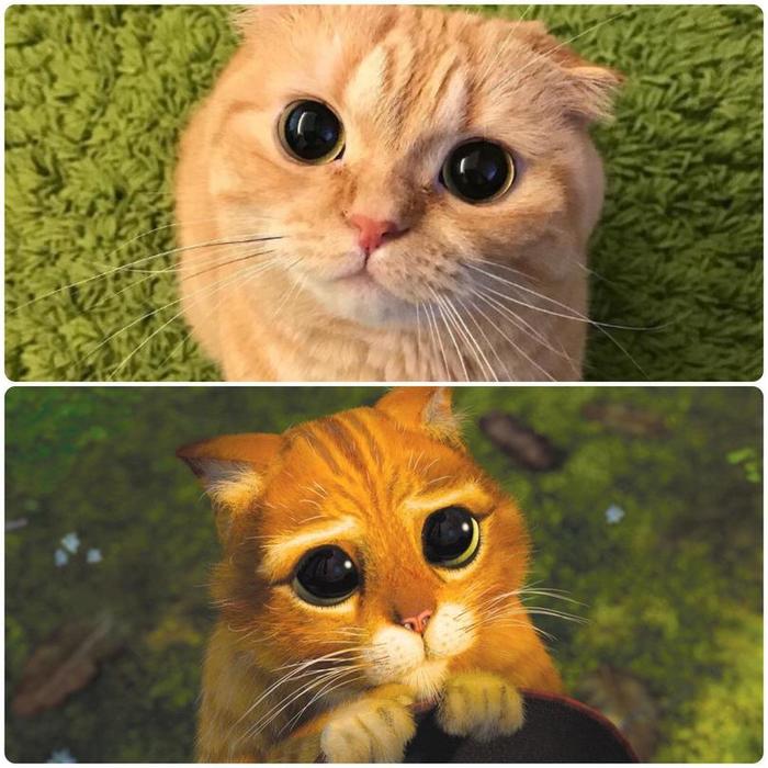 �� ����������!