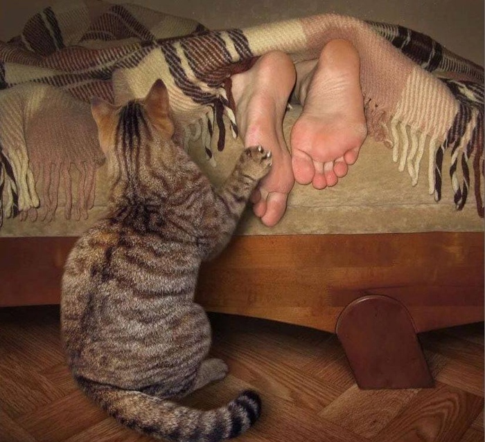 ����� ������ ���������, ���� ���� ���?