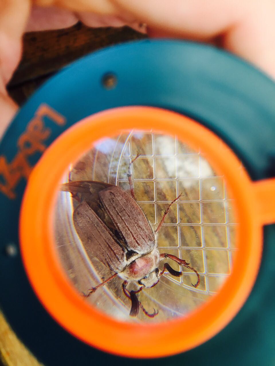 ����������, �������, ���������, ����, ����������, ��������� ����� ����� ��������� ����� Leve**nhuk. ������������� �������-25.