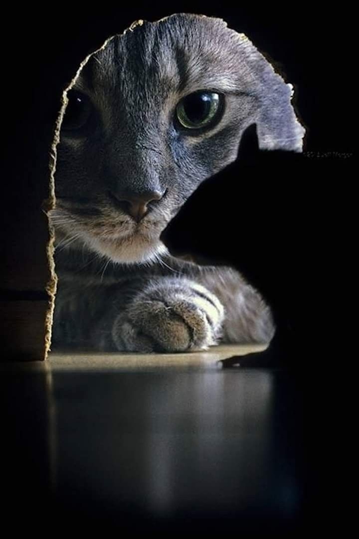 ��������� ��� � ������