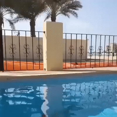 � ��� ������ ��������, �� ��� ���� ������� �������������� �������� �������, �� ����� ���� ���