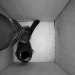 ����� �� ����� c����