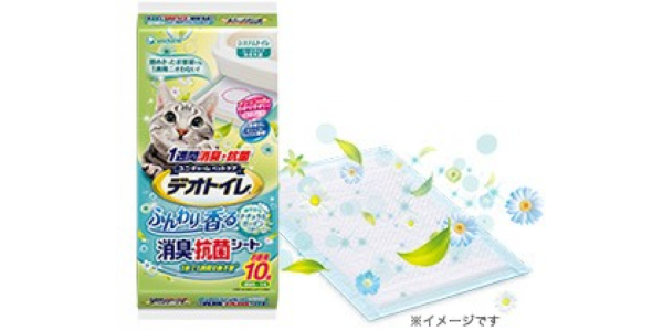 ���� �� 25/06. ������ ��� ������� �������� �� ������. ����������, �����������, ��������� ��� �������� ��������; ���������, ������� ��� �����.