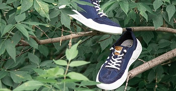 ���� �� 20.06. ������� ���� � ������� �� 263���.