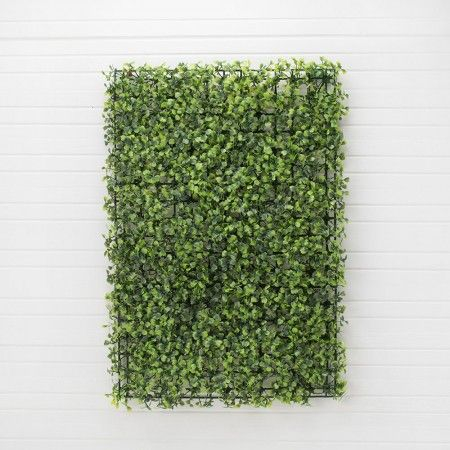 ������ ������, ������: 60 � 40 ��, 203 � 