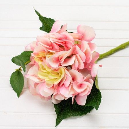 ���������, 50 ��, 175 �