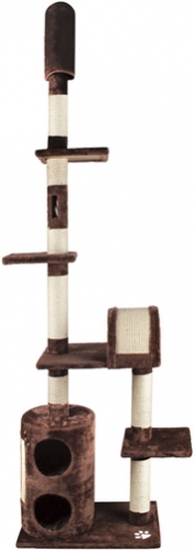 ������ ��� ����� � �����. �����-7. ������� 10.07.