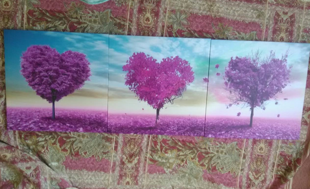 [b] ���� �� 20 ���. ��������� ������� �� ��������� ����������: �����, ������� ,��������, ��������, �������� ����������, ���������, ���� [b]