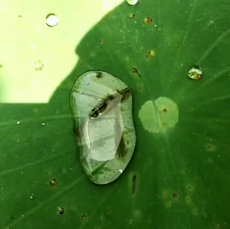 �������� �������� ������� � ������ ������������ � ����� ����