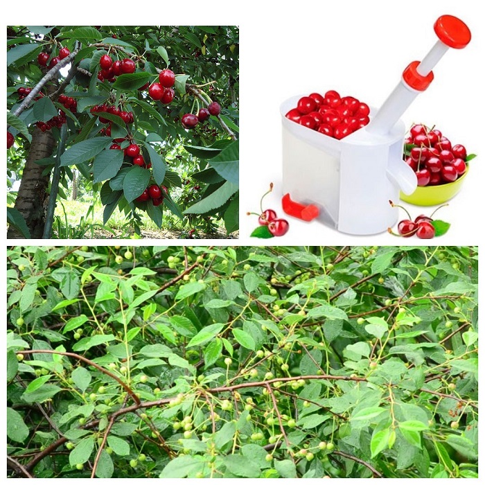 �������? ���� ����� �����-�����. ������������ � ������ ���������.