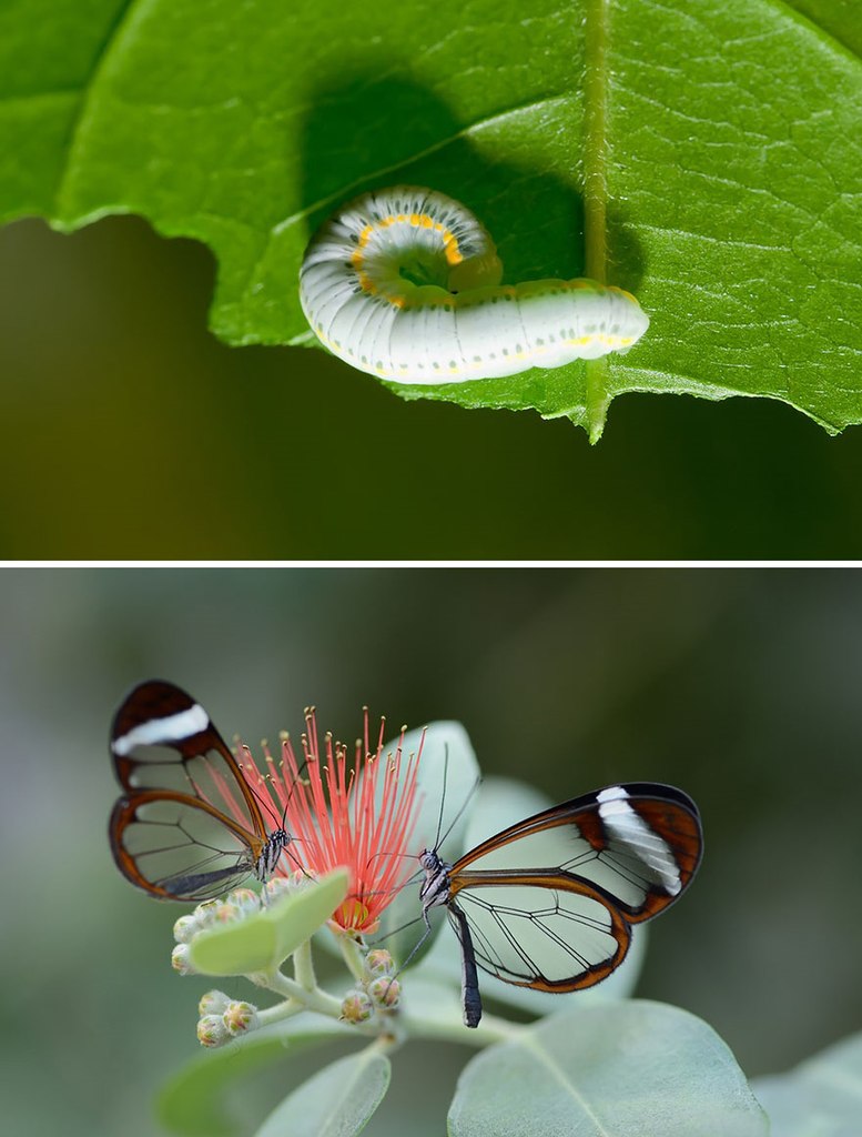 �� � �����