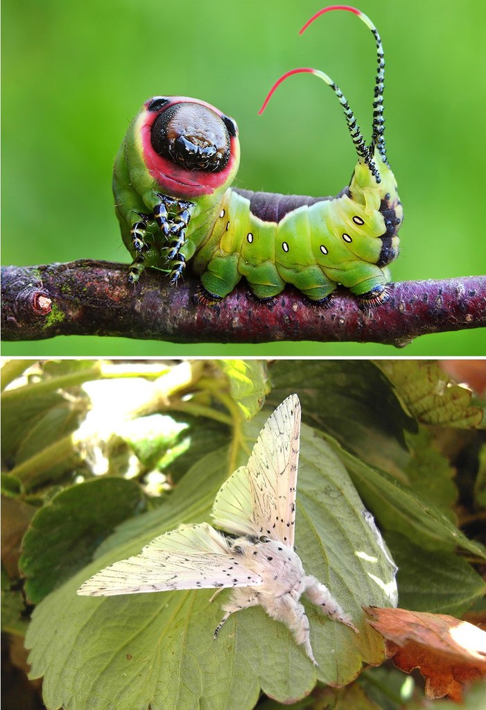 �� � �����