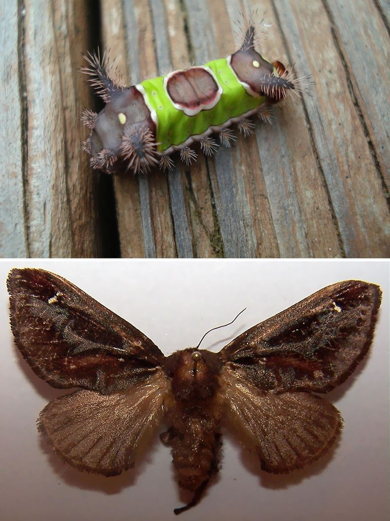 �� � �����