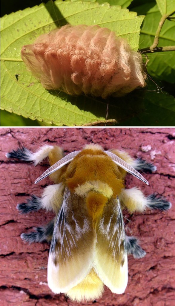 �� � �����