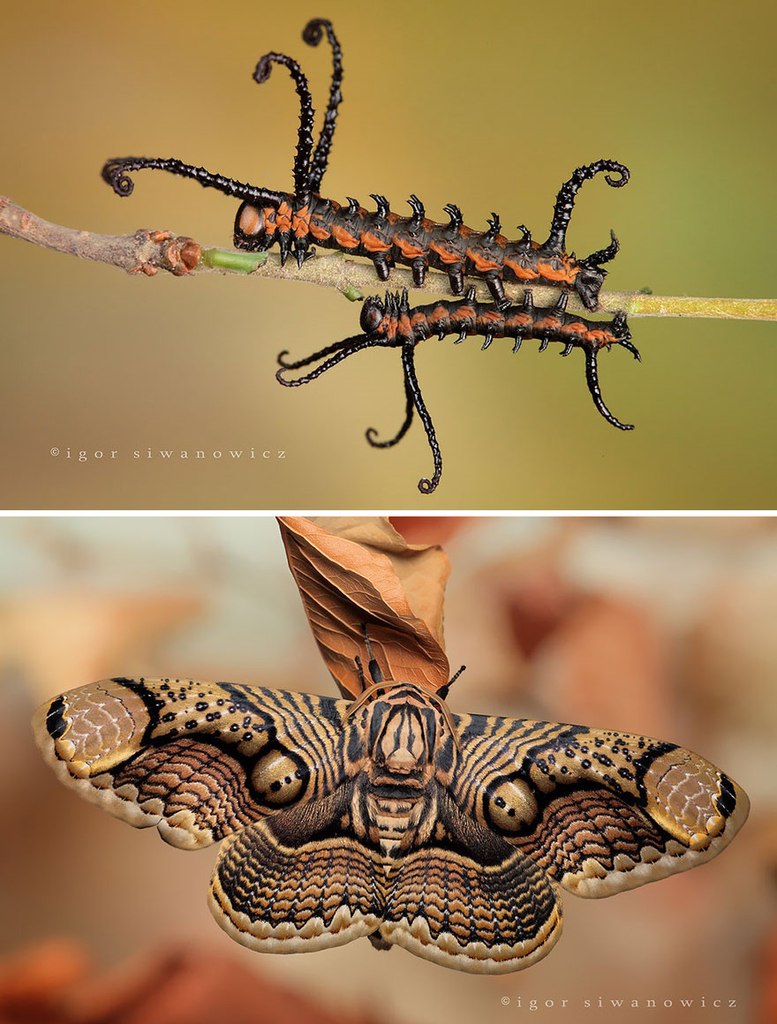 �� � �����