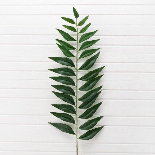 � ���������� �� ����� �������� ���� �� ������ ����, ��� ������� ���������, ���� ����� ���� (��� �������� �������� � �����)!!! ��, � ����� ������� ���������!