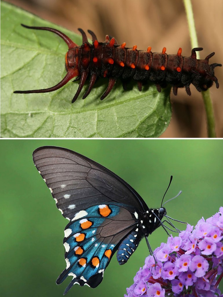 �� � �����