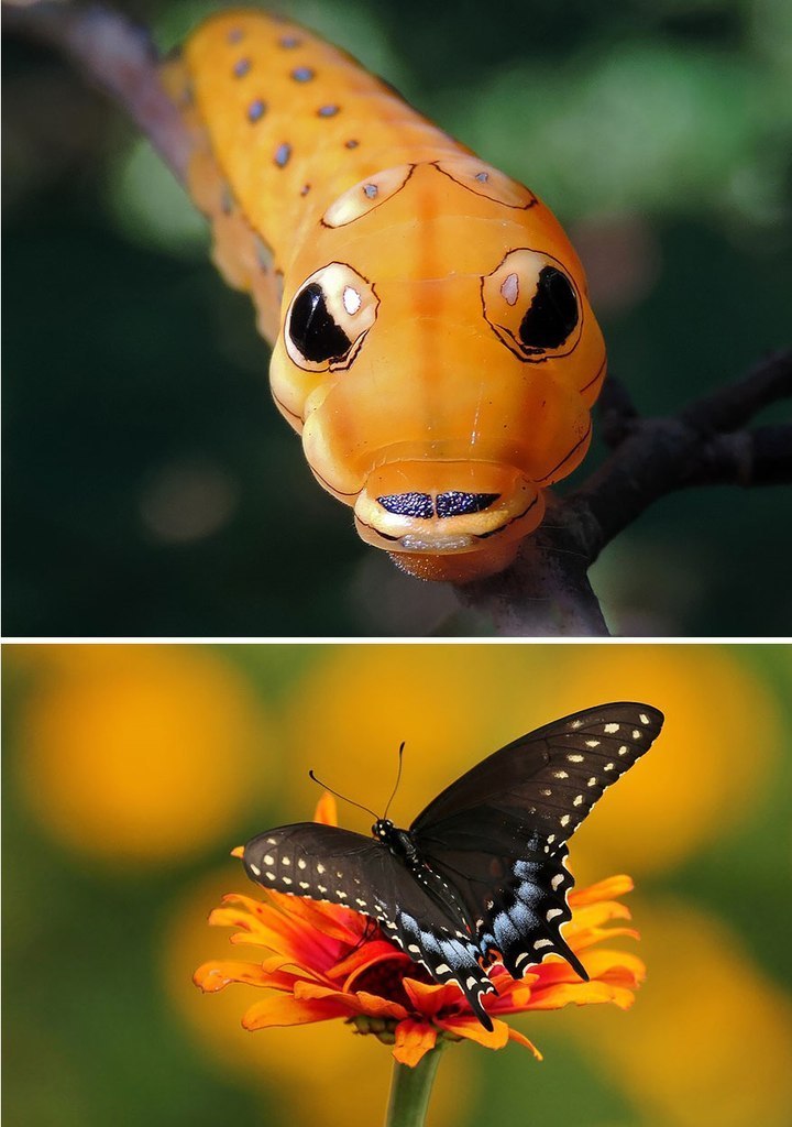 �� � �����