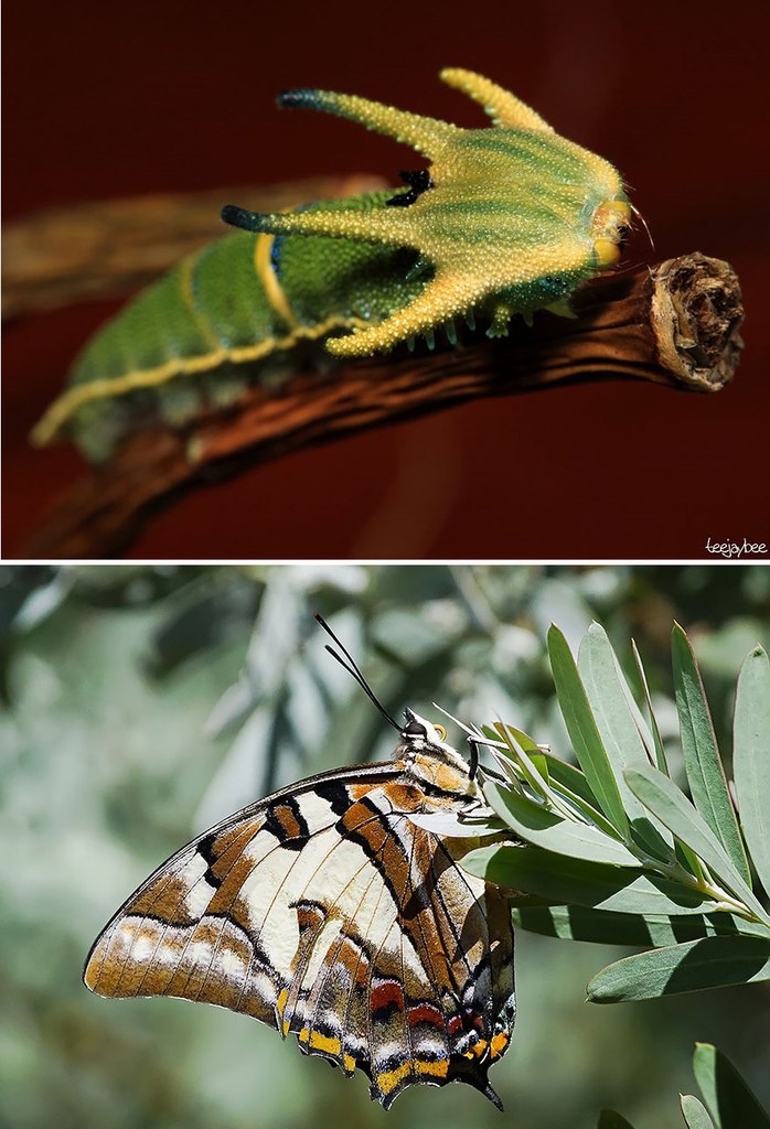 �� � �����