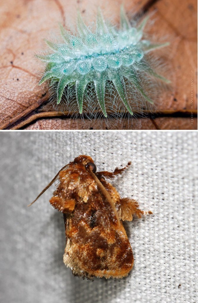 �� � �����