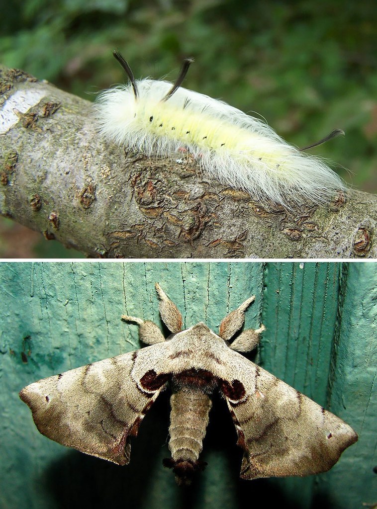 �� � �����