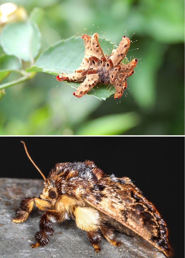 �� � �����