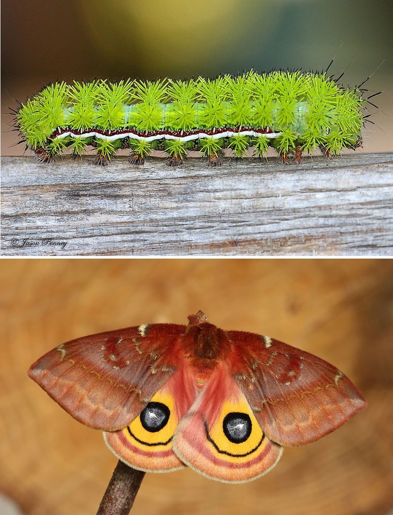 �� � �����