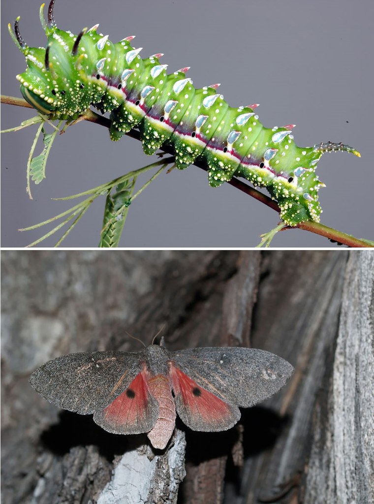 �� � �����