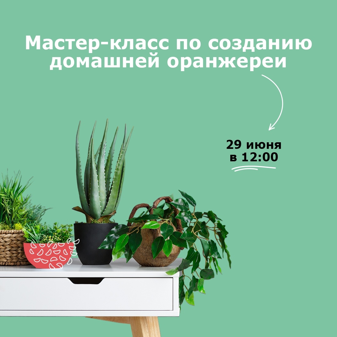 ������-����� �� �������� �������� ��������� 