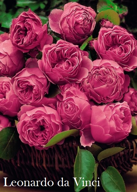 ���� �������. ���� ������ ��������� 5.