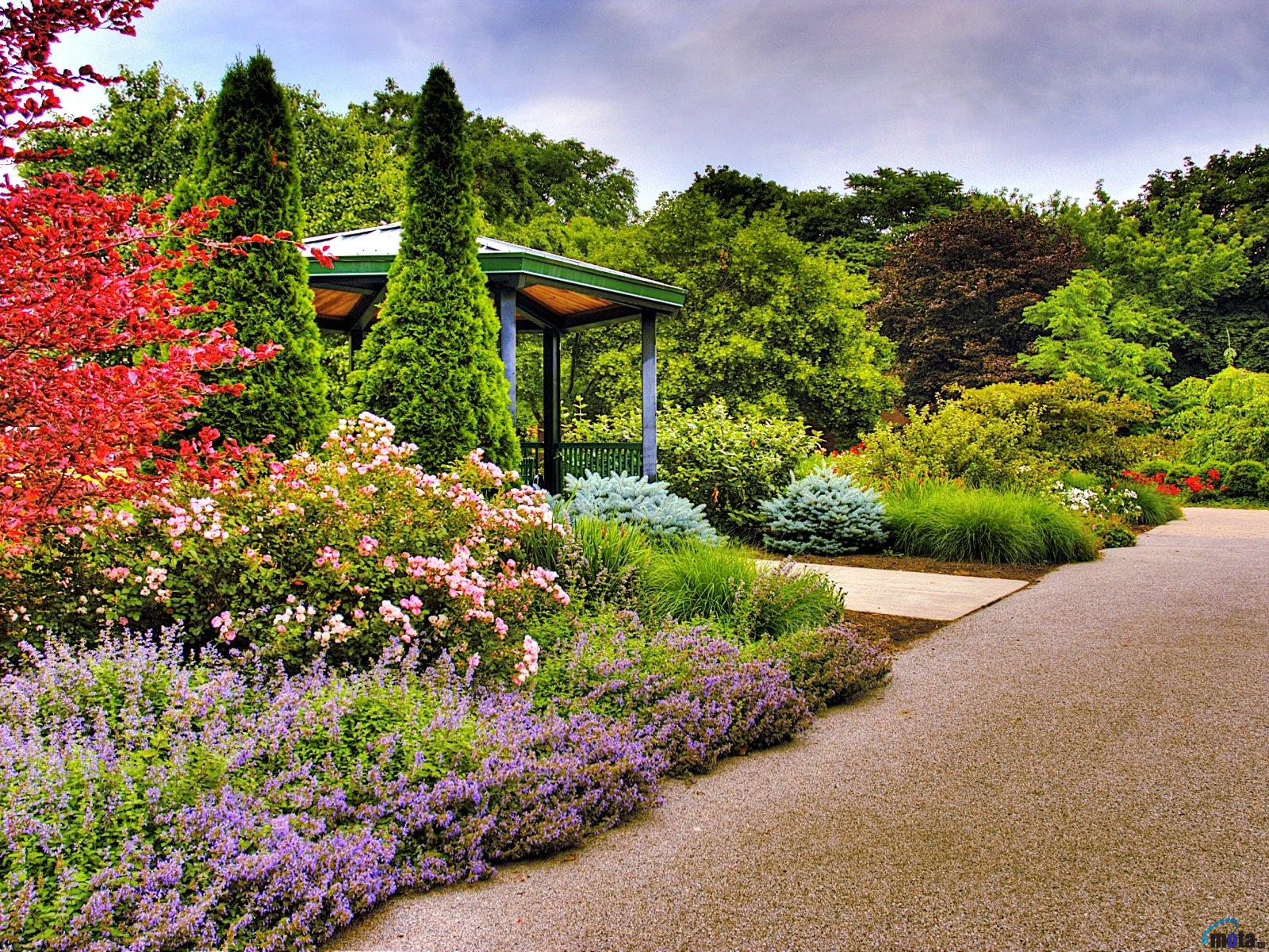 ���� ������� �� 11.07. ��������, ����������, ������������ �� �� ������������� �������. 3/19