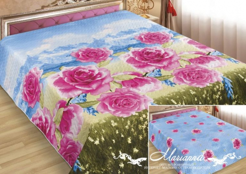 ���� (������������) ���������. ������ ����� – ����������� �������, ��������� 70 ��/�2, ������������ ���������� ��������� ��� ������� ����� ���������.