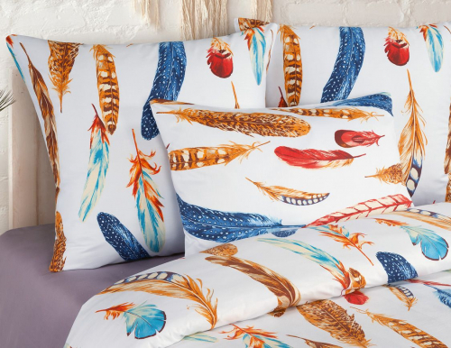 �������� ����������� ����� Dream Catcher, �����, ��� �������! 1.5-�� �������� �� 1719 �, 2� �������� ����� �� 2106 �!