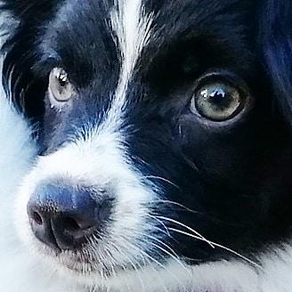 ����� ���� �����. ������. �������. 4 ������ (� ���������). � �������.