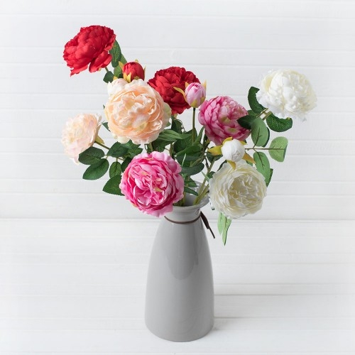 ����������! � ������� ���� ���������., h-64��, 85 � (������� 2��, ������ 3 ��)