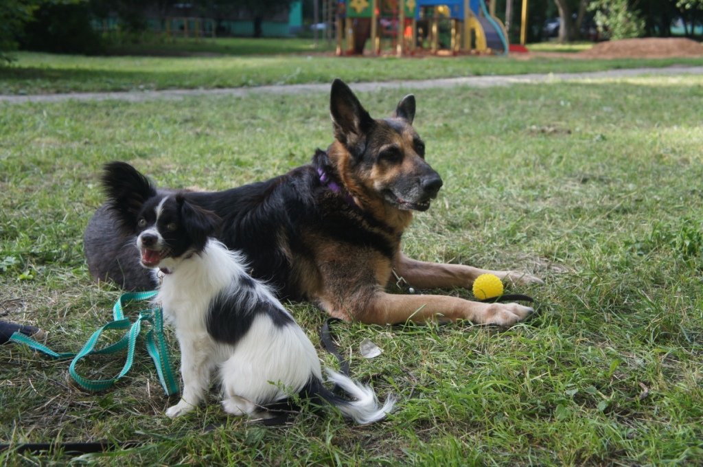 ������� 5 ������� (12.07.19). ����� � ��������