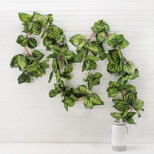 ����������� ������������� �������� � �����, ������, �������! ������ ��� ������ � ���������, �������. ���������� � �������!!!- 43