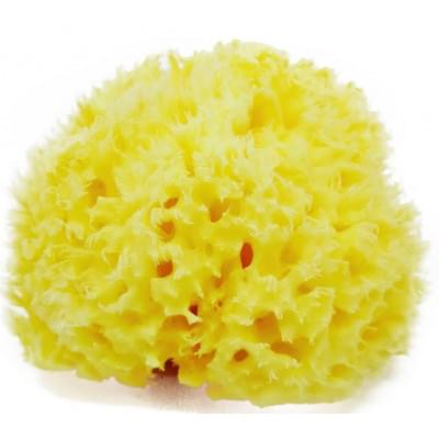 ������������ ������� ����� ��� ����� �� ����� - ����� 155 ���!. ���� ��� ����� 45 ��� �� 1 ��! 