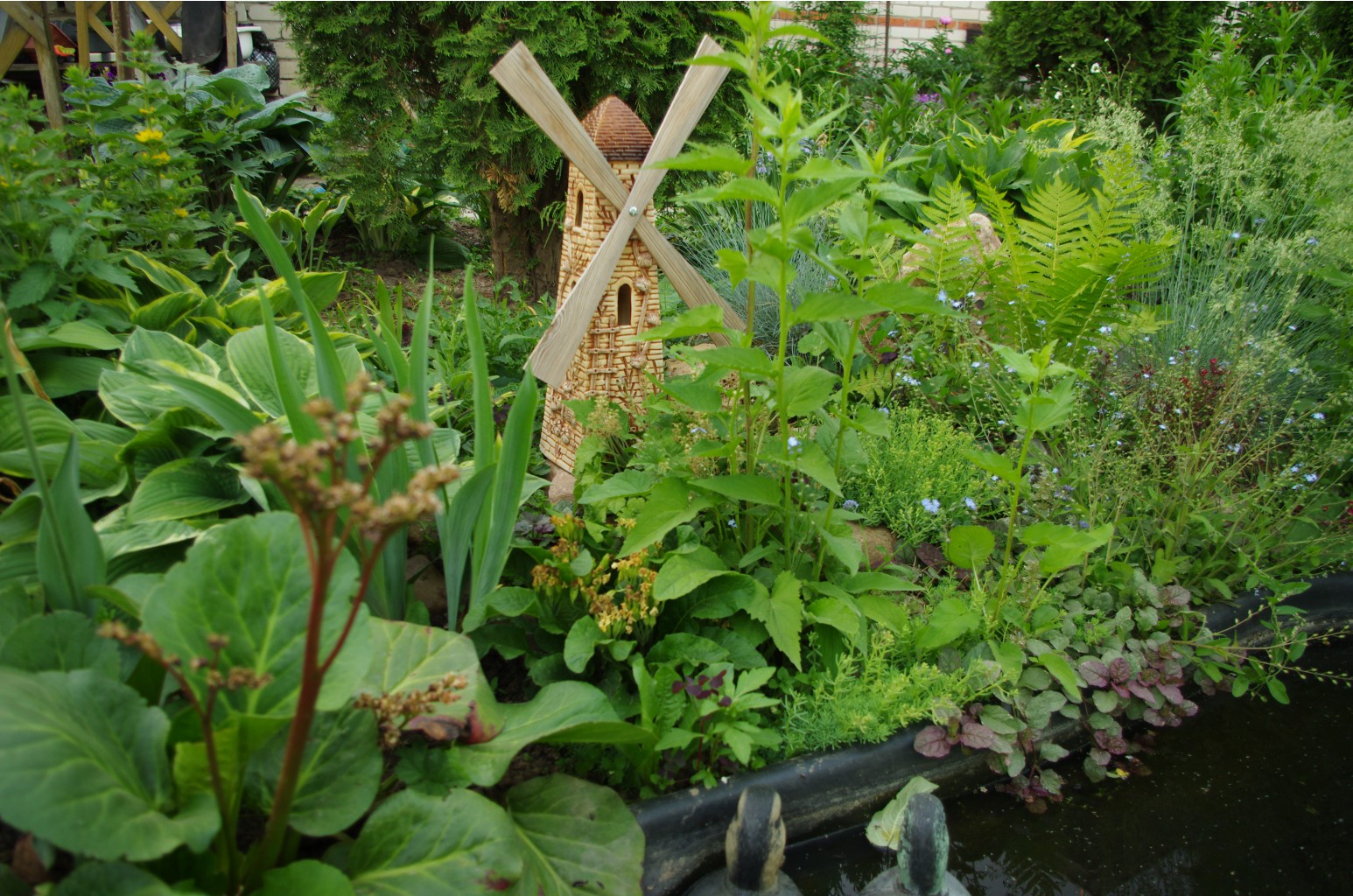 ���� �������. 18.08 ������ ��������! �����, ������������, ����������, ����������, ��������! ����������� ��������. �������� ��� �� ������ �������!