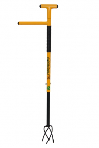 ��� , ���������