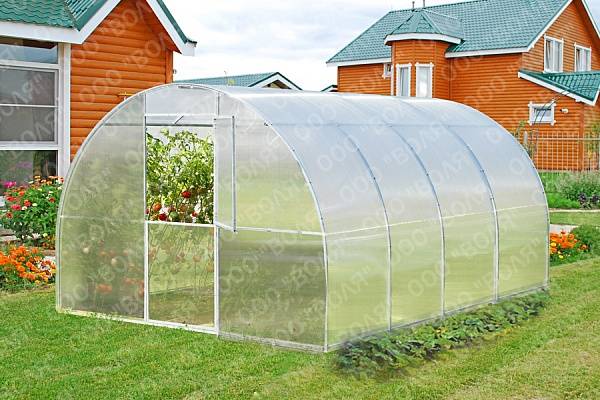 	���� �� 31.07 . ������� ��� ������� ������������ � ������. ������� ���������� ������. �������� ��� ������ , �������� ��� ����������. �������� (�������� �������� ). �������. ������.14